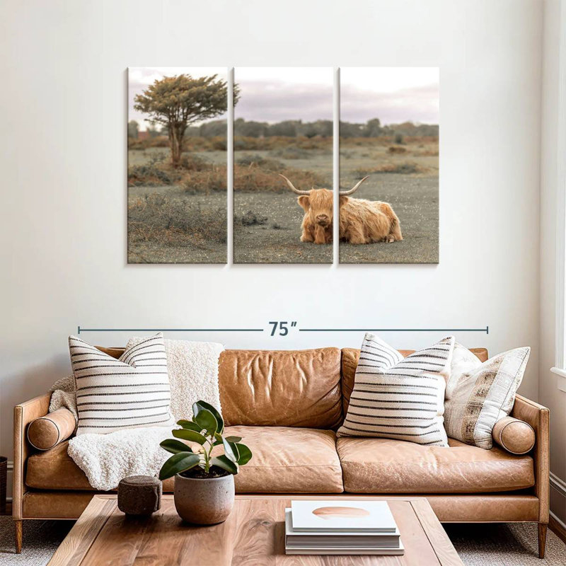 Brown Highland Cow II, 36" H x 57" W