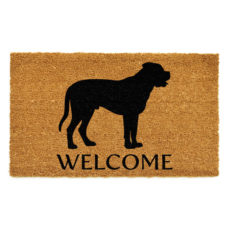 Tapis d'entrée antidérapant Mastiff, l 24 po x L 36 po