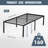 Aricia 18" Bed Frame-538755392