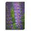 Fleur de lupin bleu violet par Cora Niele-137025098