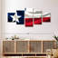 Windy Texas Flag-1282719685