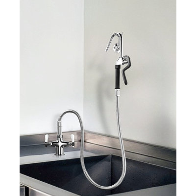 Aleasha Pull Out Kitchen Faucet