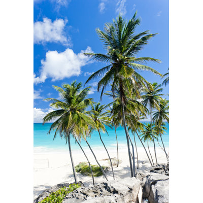 Bottom Bay - Wrapped Canvas Print