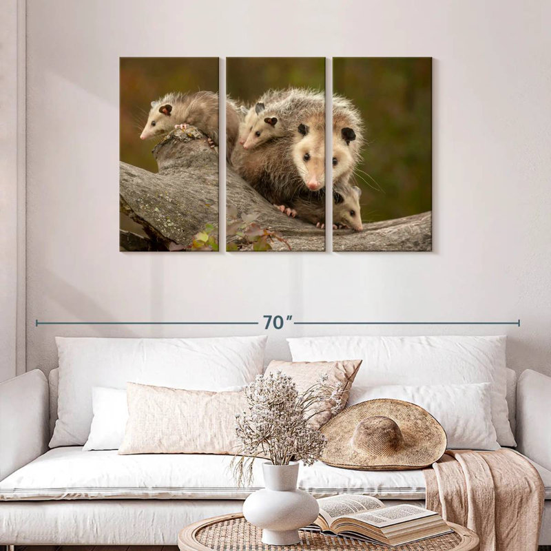 Famille Opossum, H 28 po x l 45 po