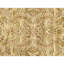 One-of-a-Kind 9'1" X 12'3" Hand Knotted Area Rug