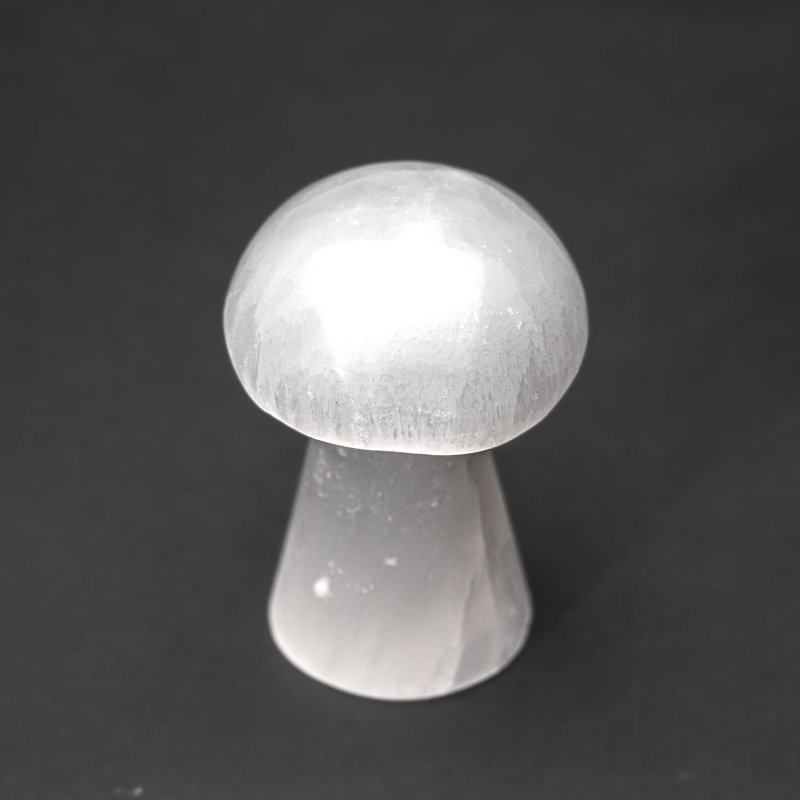 Cloche Or Water Globe