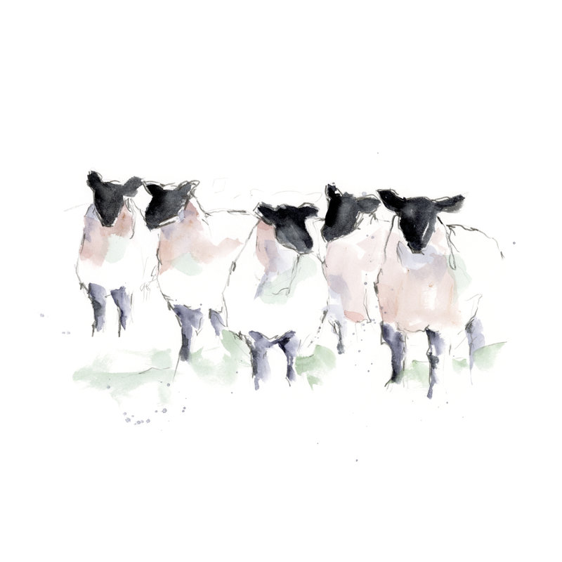 Minimaliste aquarelle mouton I, H 20 po x l 30 po