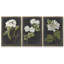 Ensemble de 3 toiles tendues à motif de botanique antique-97759816-97759817