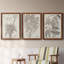 «Sepia Exotic Plants IV», ensemble de 3 peintures sur toile encadrées-595440741-595440745