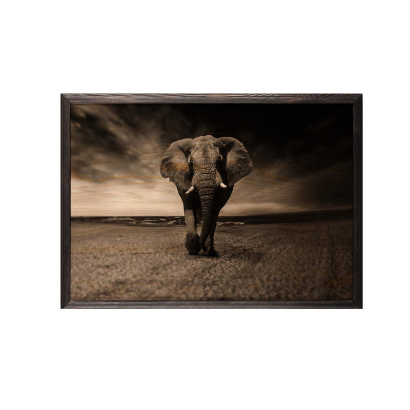 Perry Single Picture Frame Print on Wood, 50cm H x 70cm W x 2cm D