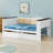 Wood Daybed Featuring Storage Shelves, Upholstered Backrest, USB, And Trundle-457432877