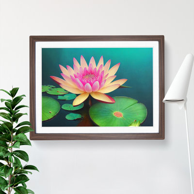 Attractive Water Lily Flower - Single Picture Frame Painting