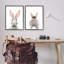 Art mural sur toile Stupell Industries, crabe rustique et corail par Emma Leach-91341436-91341439