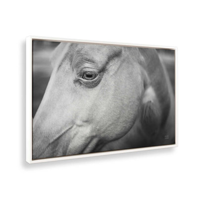 Willow by Nathan Larson Canvas Art Print