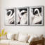 ANIMALS Series CECXLI - Impression encadrée sur mesure de qualité supérieure - 3 pièces-1927310072-1927310075