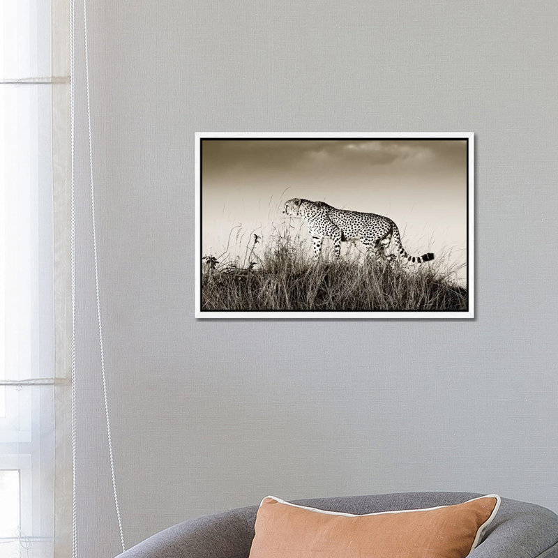 Crouching Cheetah by Klaus Tiedge - Print on Canvas, 66.04 cm H x 45.72 cm W, White Framed