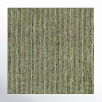 Tapis intérieur / extérieur Ashwin