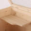 Hamster Modular Habitat