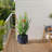 High-quality ceramic flower pots-529395402