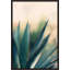 Spine II Print by Alicia Bock-72188077-72558189