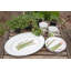 Set of 4 Fresh Produce Sandwich Plates
