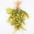 Jaune/vert
