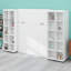 Lit escamotable mural Murphy avec portes de rangement-1166413736