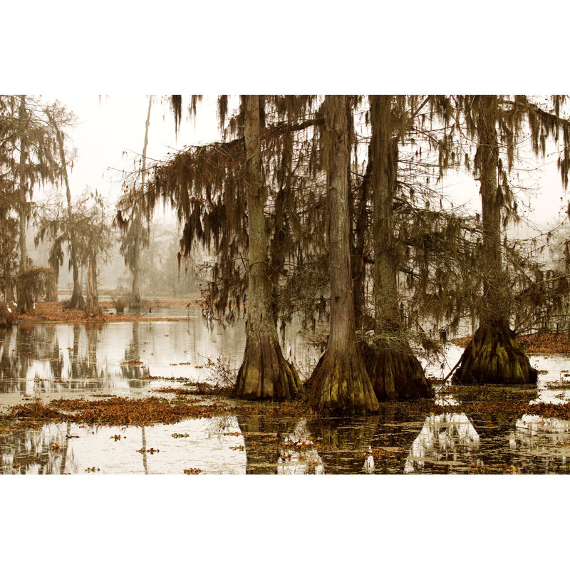 Misty Morning by PaulWolf - Wrapped Canvas Print, 30cm H x 46cm W 