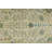 Carmet Performance Wool Floral Rug