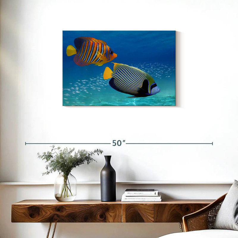 Brampt Exotic Emperor Angelfish, 20" H x 30" W