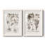 Sépia Besler Botanicals V-Premium, reproduction encadrée - prête à être accrochée-759158604-759158607