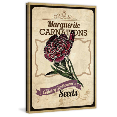 Flower Packet Carnation - Wrapped Canvas Print