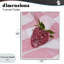 Giclée encadrée de fraise sur fond rose, design par Lish Creative-130746021-130746024