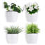 Nakke Wall Planter