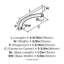 Poignée arche en acier inoxydable Essential'Z-105702510