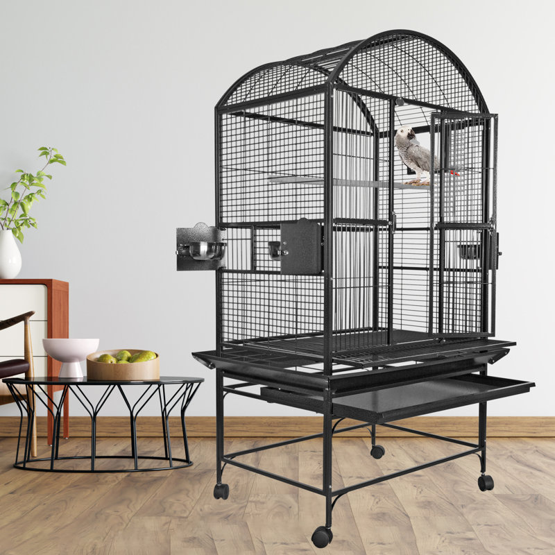 Cage large large noire par A&E, Noir, 63" H x 32" L x 23" W