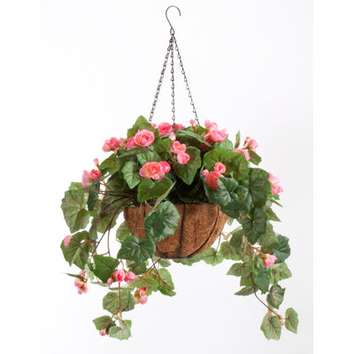 Panier suspendu Oakonia entièrement assemblé OakRidge