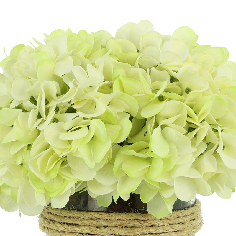 Cream Hydrangea in Rope Glass Vase, Yellow