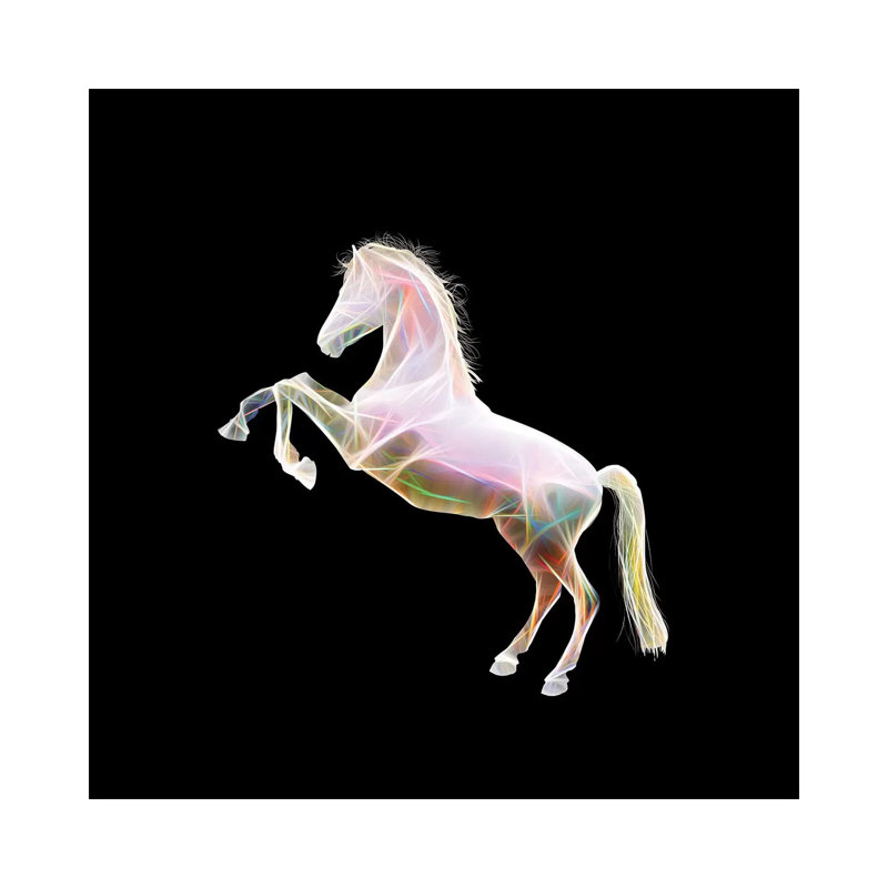 Dreamy Horse by Tatiana Amrein - Wrapped Canvas Print, 93.98cm H x 93.98cm W x 1.905cm D