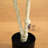 Faux Birch Tree in Pot Liner-1667893478