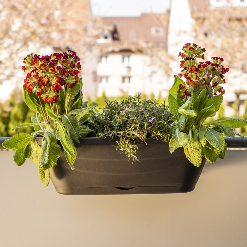 Whitney Window Box Planter, Anthracite