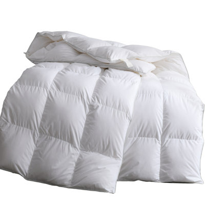 Irene Winter Down Blend Down Comforter