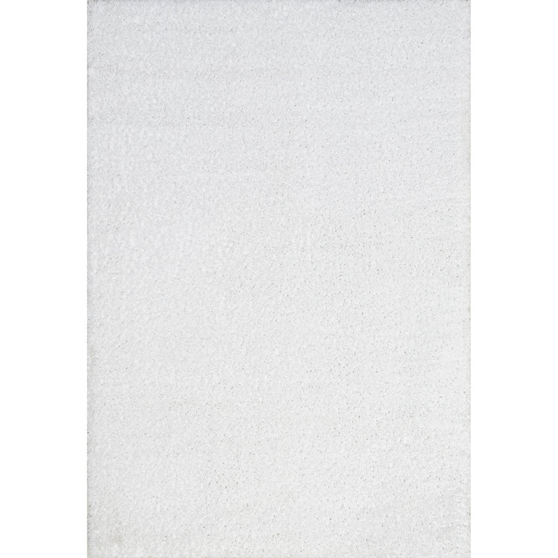 Alanson Contemporary Power Loom Performance Shag White Rug, Rectangle 2' x 3'