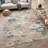 Machine Washable Indoor/Outdoor Chantille ACN2946 Floral Rug-128961571