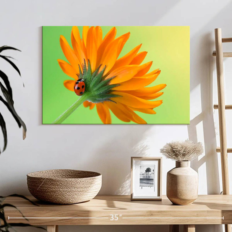 Ladybug Climbing Flower, 16" H x 24" W