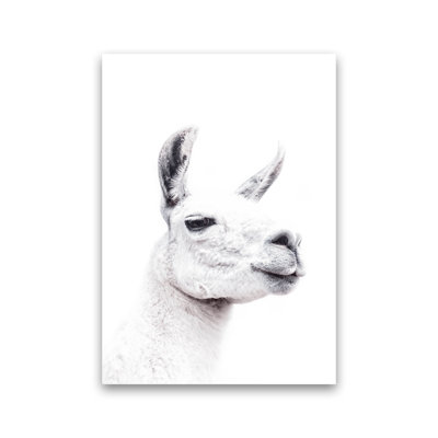 Llama I by Victoria Frost - Print