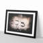 A Flock Of Pelicans Paint Splash - Picture Frame Graphic Art-56866096-56866098