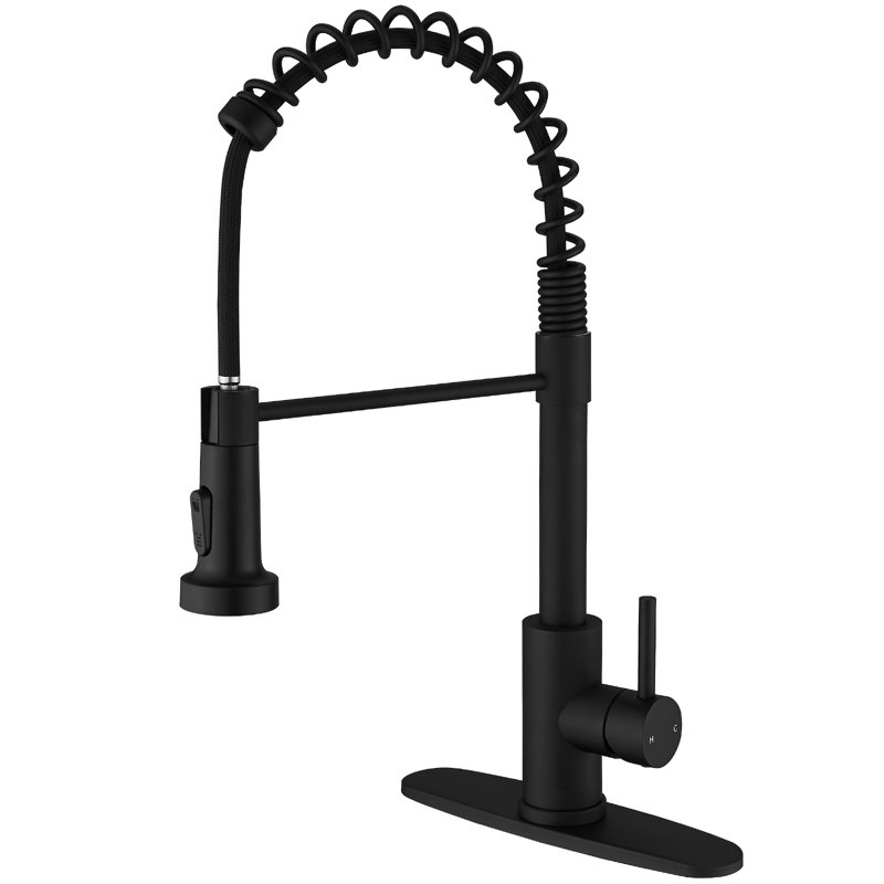 High Arc Kitchen Faucet With Single-Handle Pull-Down Sprayer And Deck Plate, Matte Black