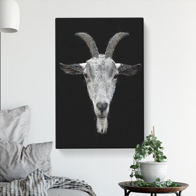 White Goat Vol.1 - Wrapped Canvas