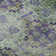 Premium Machine Washable Cerrito AMF557 Purple Rug